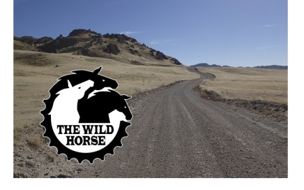 The Wild Horse bike ride utah